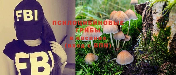 PSILOCYBIN Бородино